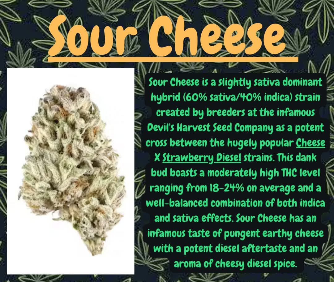 Sour Cheese