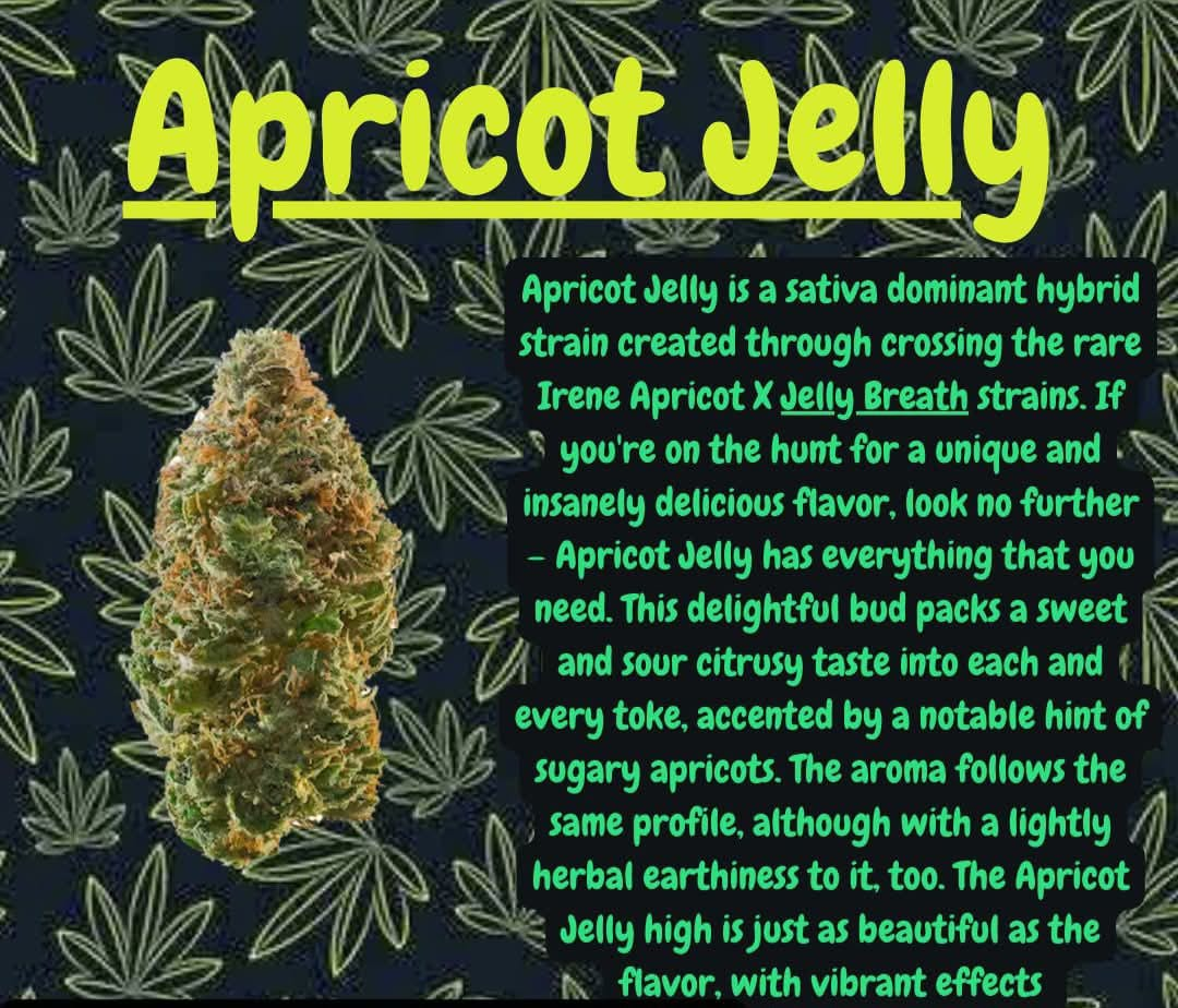 Apricot Jelly